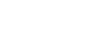 2N logo